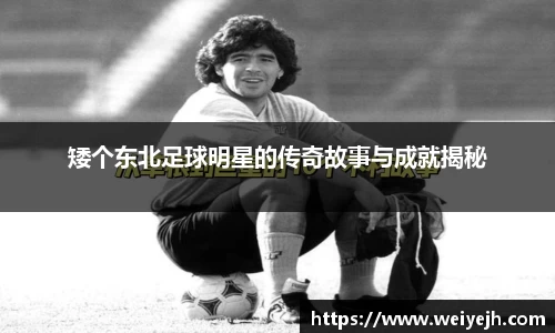 矮个东北足球明星的传奇故事与成就揭秘